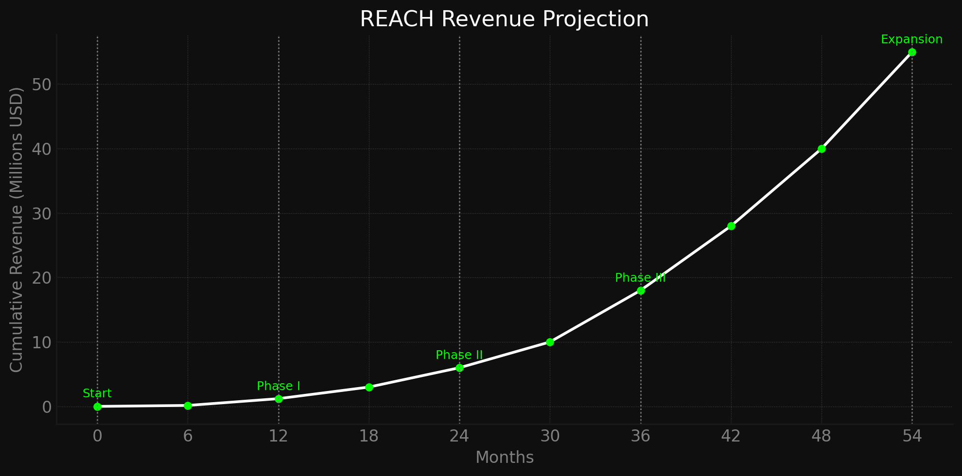 REACH revenue projection graph